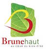 logobrunehaut